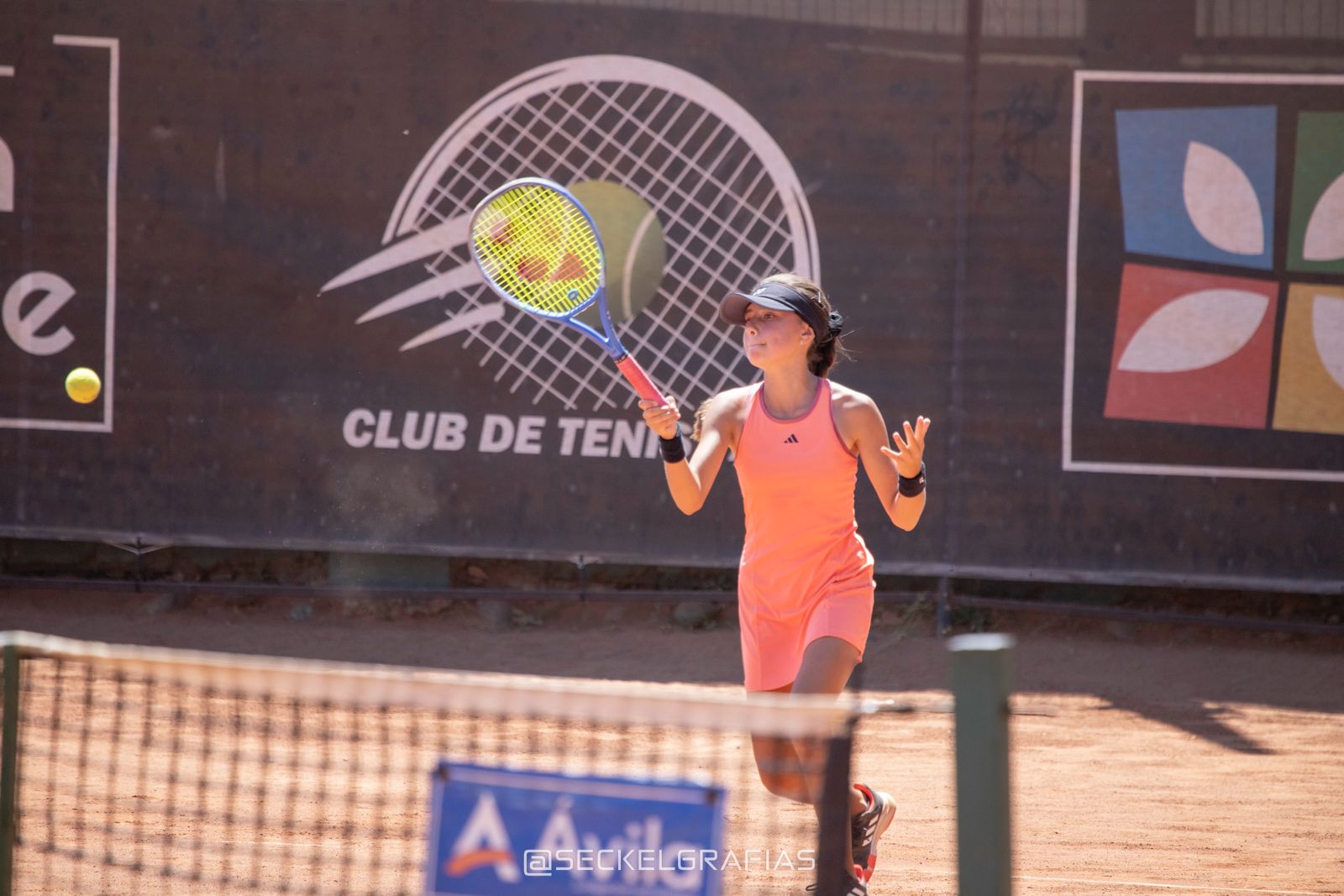 Torneo de Tenis